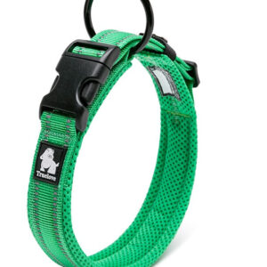 True Love Heavy Duty Reflective Dog Collar - Green, L