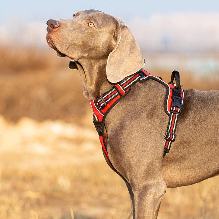 True Love No Pull Explosion Proof Dog Harness - Red, M - Image 7
